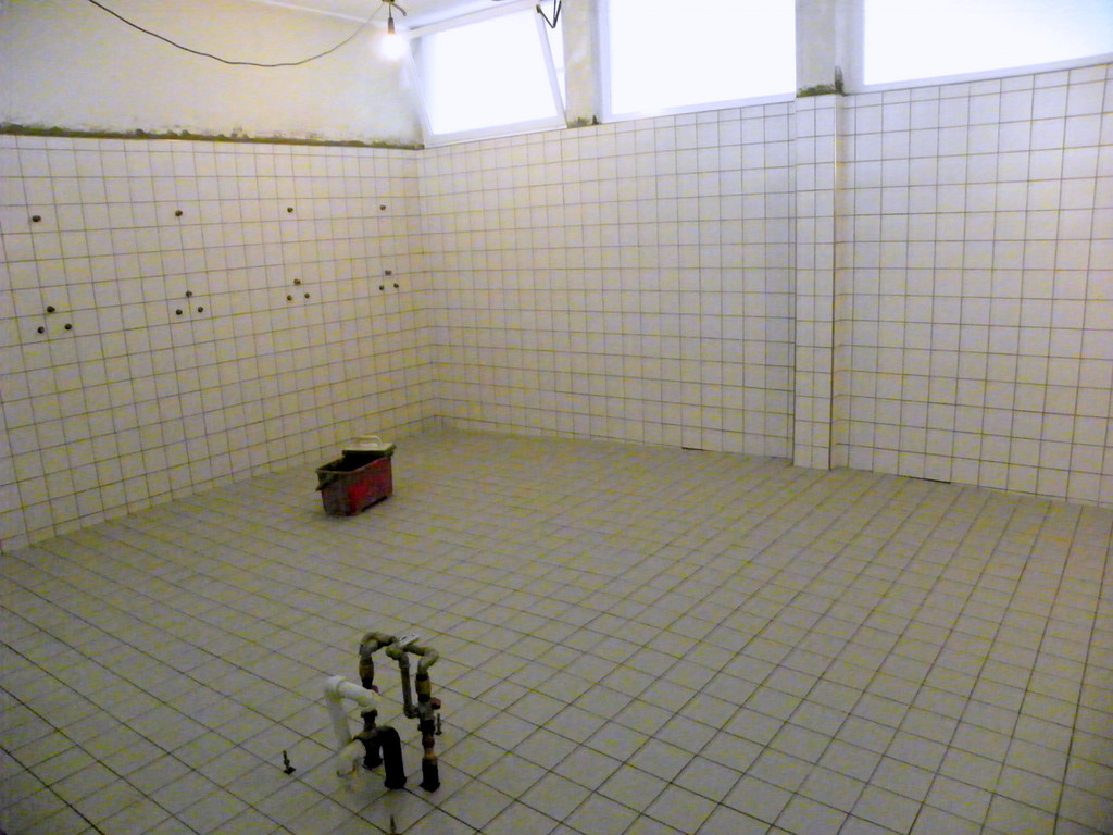 112_3612-1_JPG-1314525068