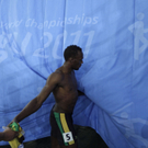 DAB1619-20110828.jpg