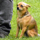 112_3939_JPG-1314533881