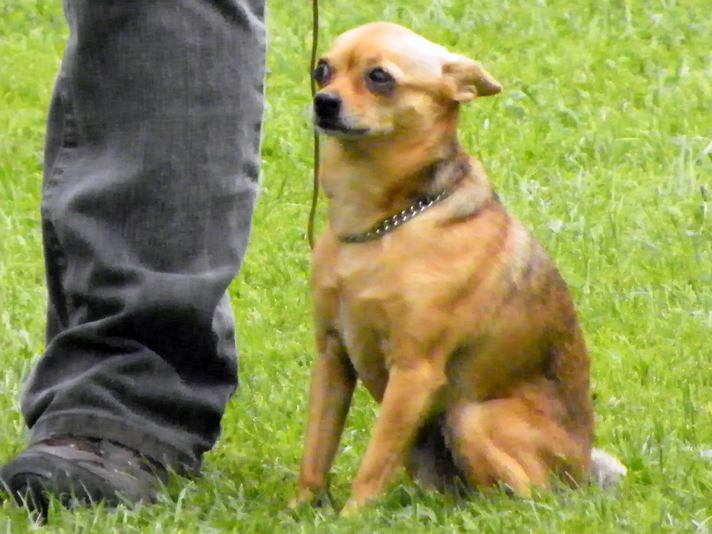 112_3939_JPG-1314533881