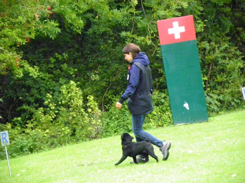 112_3943_JPG-1314533900