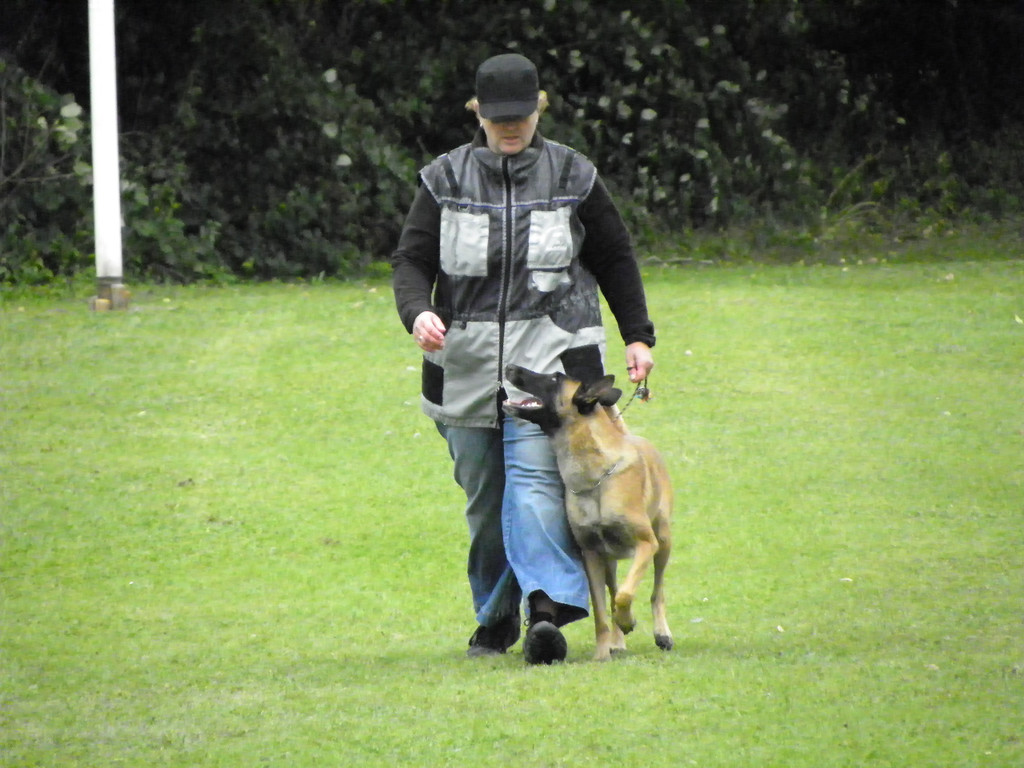 112_3944_JPG-1314533909