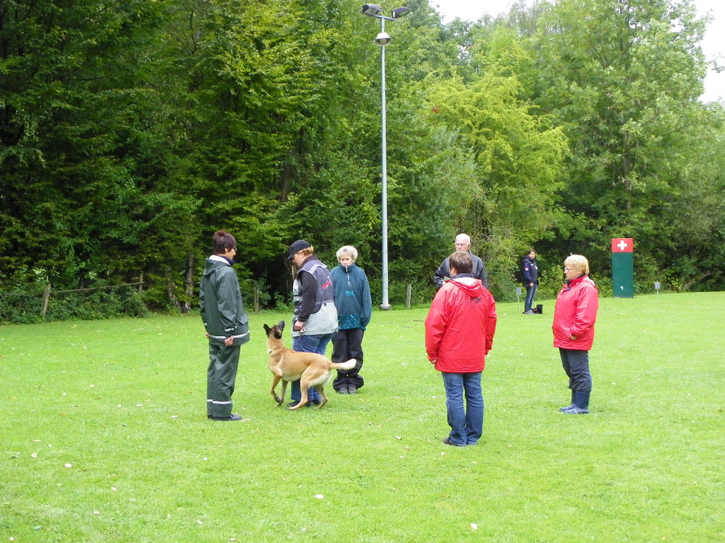 112_3950_JPG-1314533922