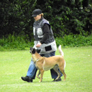 112_3959_JPG-1314533946