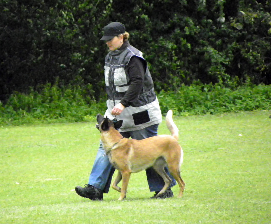 112_3959_JPG-1314533946