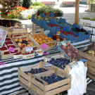 026_bearbeitet-1.jpg