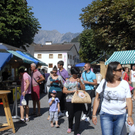 033_bearbeitet-1.jpg