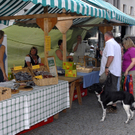 131_bearbeitet-1.jpg