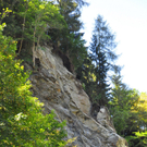 Bilder der L 270