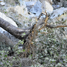 28082011felssturzmbaktivnews010.jpg