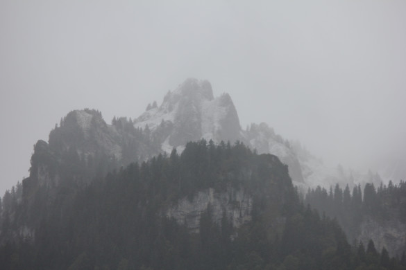 IMG_2714_JPG-1314549040