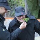 IMG_2874_JPG-1314550269