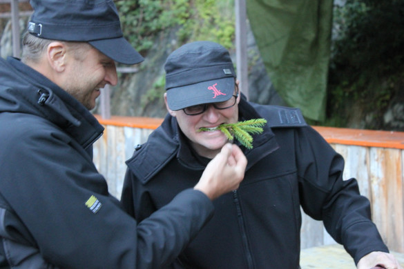 IMG_2874_JPG-1314550269