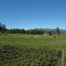 Alpe Rona