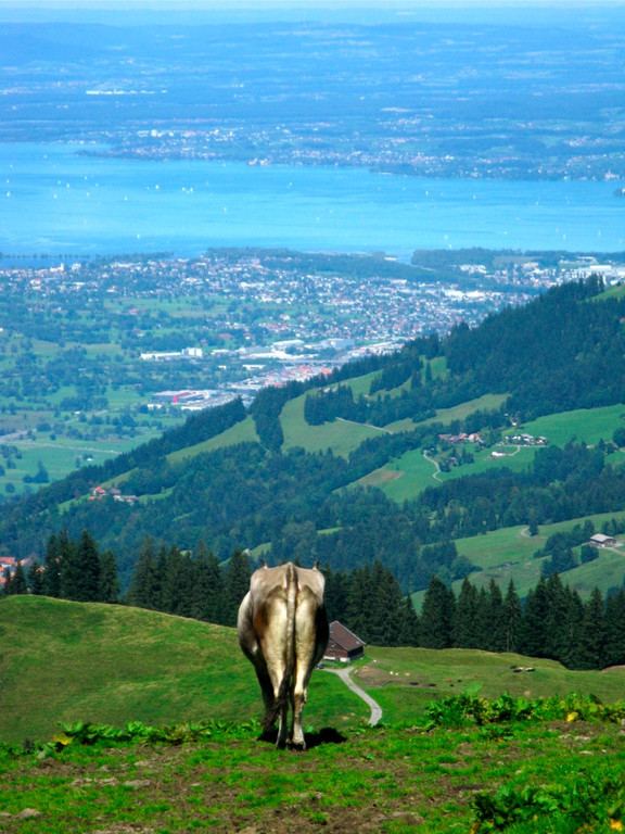BK_moerzelspitze 17_jpg-1314564153