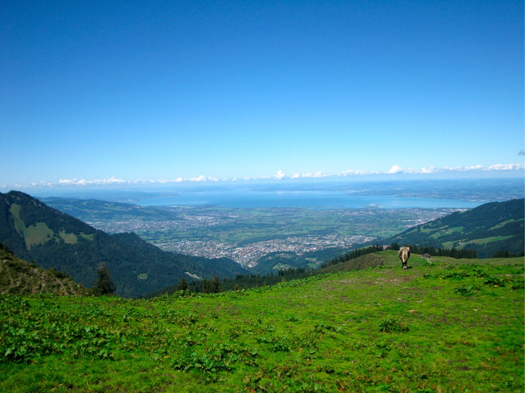 BK_moerzelspitze 18_jpg-1314564156