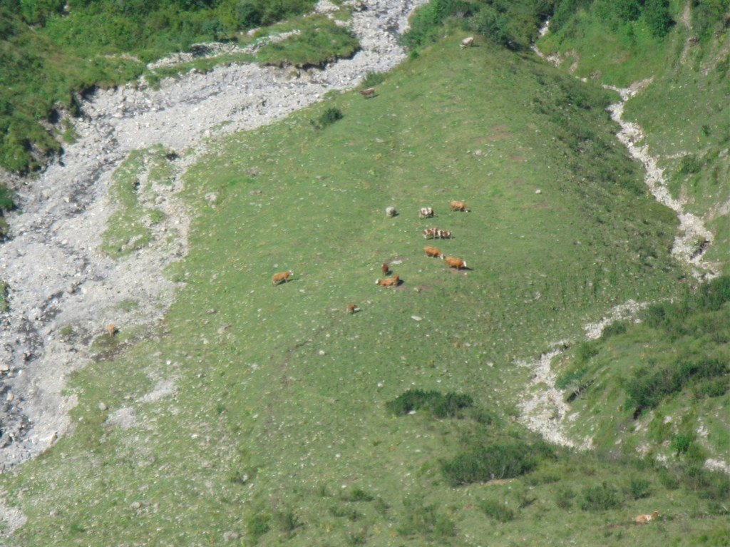 BK_moerzelspitze 41_jpg-1314564262