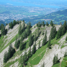 BK_moerzelspitze 64_jpg-1314564366