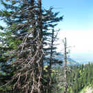 BK_moerzelspitze 65_jpg-1314564372