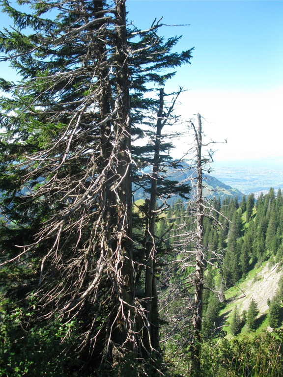 BK_moerzelspitze 65_jpg-1314564372