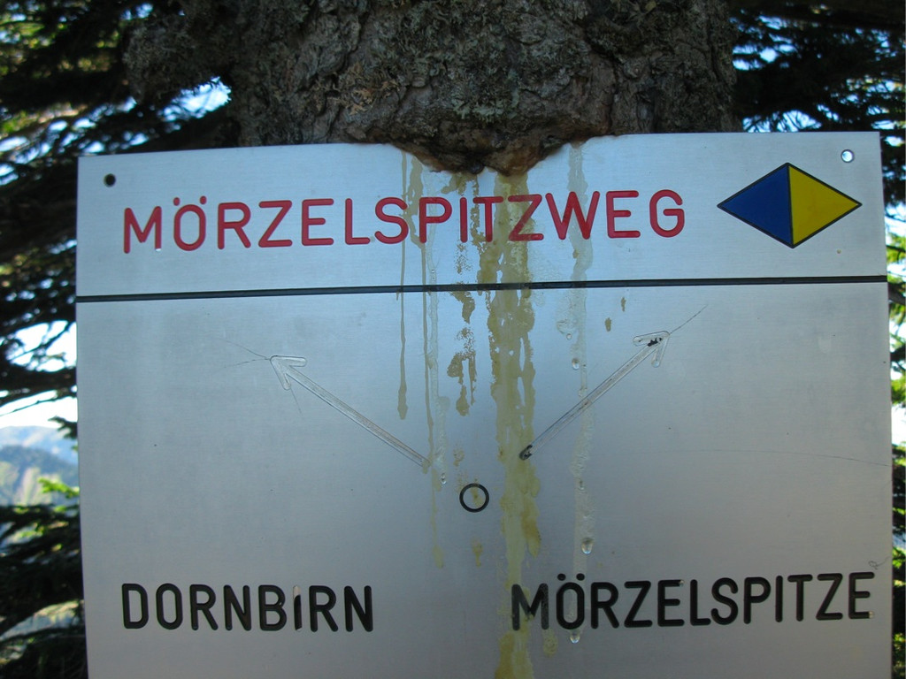 BK_moerzelspitze 69_jpg-1314564390