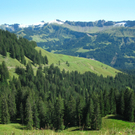 BK_moerzelspitze 70_jpg-1314564396
