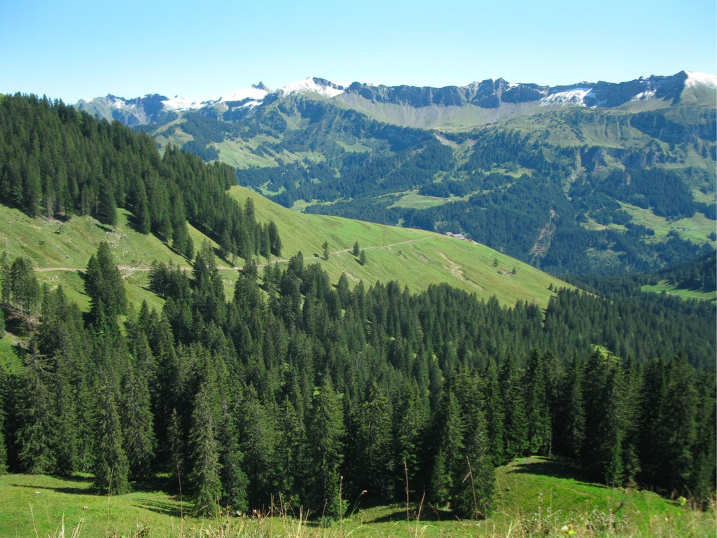 BK_moerzelspitze 70_jpg-1314564396