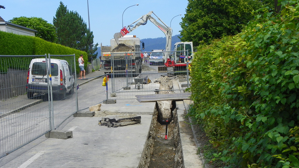 112_3837_JPG-1314566211