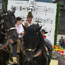 DSC04806.JPG