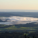 normal_28082011fmt_sonneaufgang_ta_042.jpg