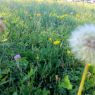 Spätsommerliche Wetterbilder
