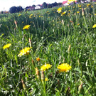 normal_28082011sommerwetterfaaktivnews03.jpg