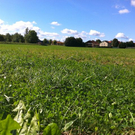 normal_28082011sommerwetterfaaktivnews07.jpg