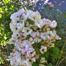 normal_28082011sommerwetterfaaktivnews10.jpg