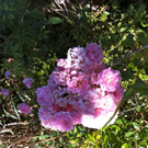 normal_28082011sommerwetterfaaktivnews11.jpg