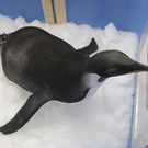 DAB1653-20110829.jpg