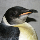 ABD0034-20110815.jpg