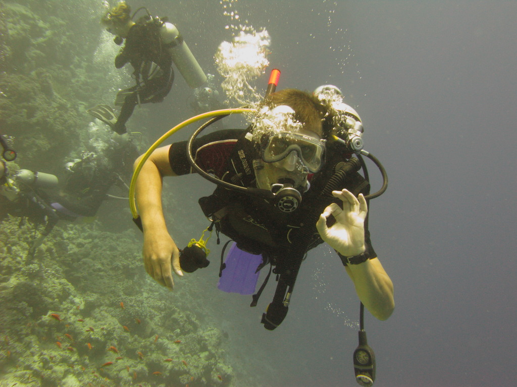 Dahab 11_1__08_2009 39.JPG