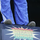 normal_28082011chiemseereggae4nmaktivnews__149_.jpg
