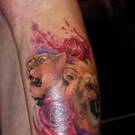 112_4162_JPG-1314651229