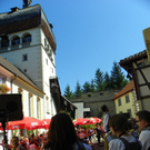 105_3261_jpg-1314653905