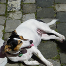 105_3341_jpg-1314653967