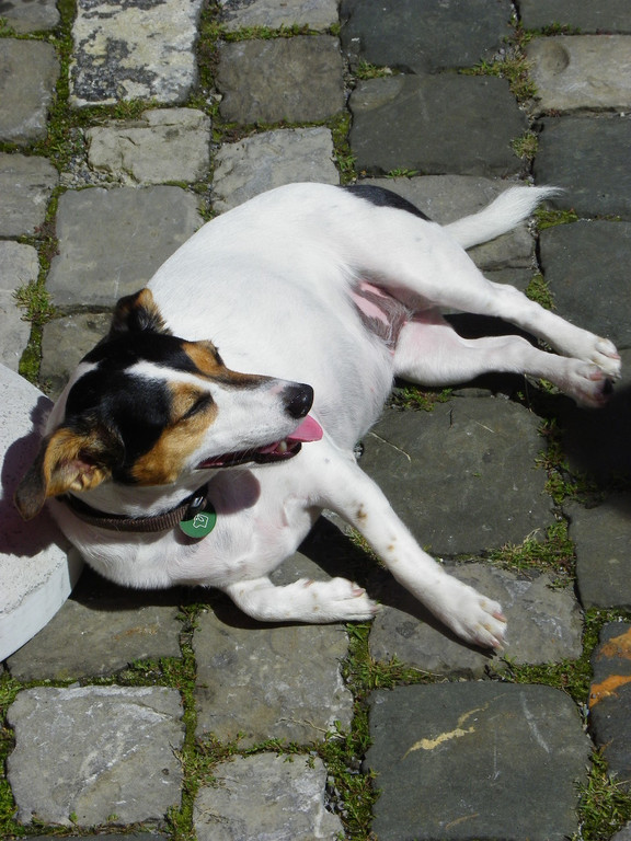 105_3341_jpg-1314653967