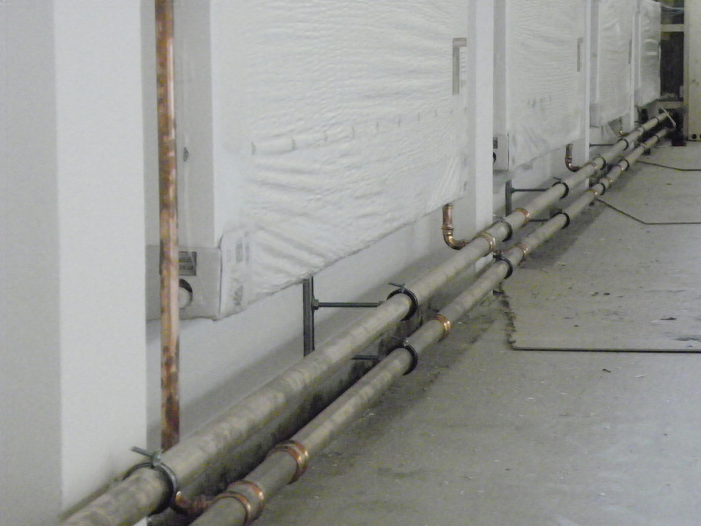 112_3629-1_JPG-1314656238