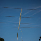 normal_29082011chiemseereggaeaktivnewshs033.jpg