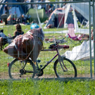 normal_29082011chiemseereggaeaktivnewshs060.jpg