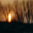 koenig_seestuecke02_jpg-1314700370