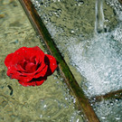 Wanko Ausstellung rot