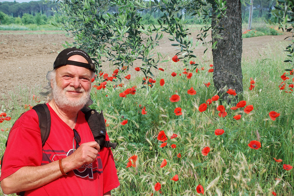 montage02_jpg-1314700980