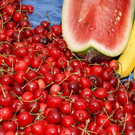 rovinj 23_jpg-1314701156